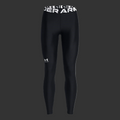 UA Leggings HeatGear