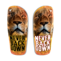 PARASTINCHI NEVER BACK DOWN