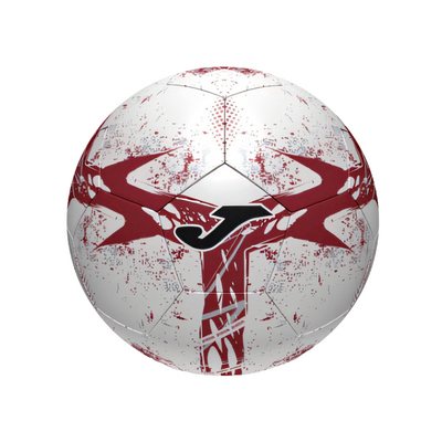 Pallone Joma Torino FC