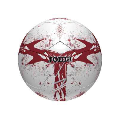 Pallone Joma Torino FC